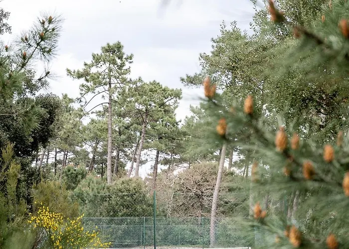 Vakantiehuis Cocoon Contis Ocean A 900m